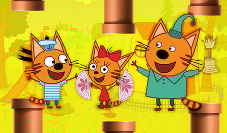 KID-E-CATS: Flight