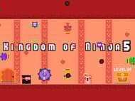 Kingdom of Ninja 5
