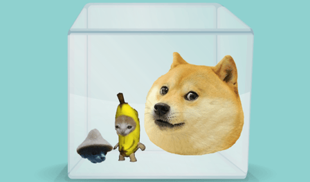 Merge Meme Animals