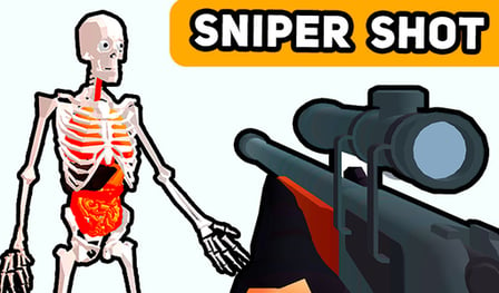 Sniper Shot: Bullet Time