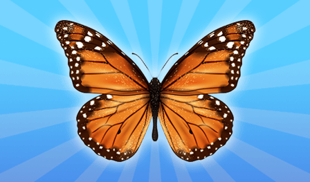 Butterflies: 2048!