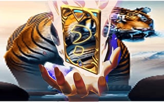 Animal Tiger Memory Match