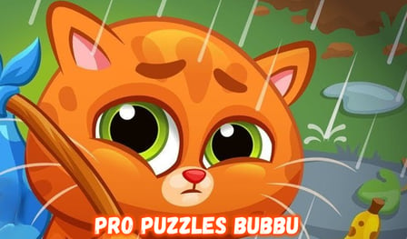 Pro Puzzles Bubbu