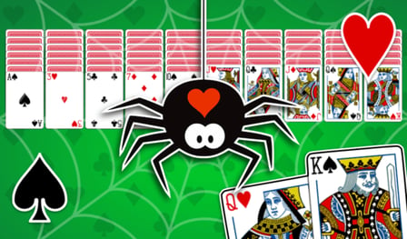 Spider Solitaire - Big Cards