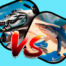Who win: Crocodilo Bombardiro