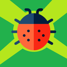 What kind of insect is this?