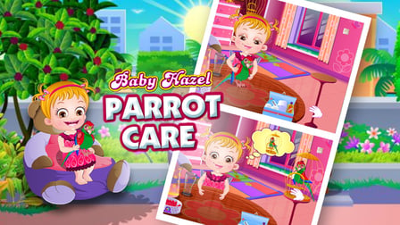 Baby Hazel Parrot Care