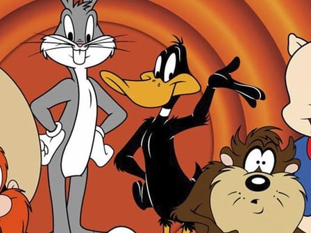 Looney Tunes Jigsaw Puzzle Collection