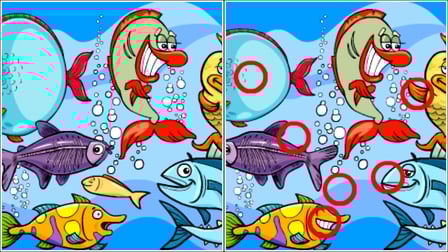 Fish Differences
