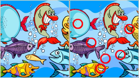 Fish Differences