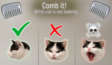 Comb it! While cat is not looking