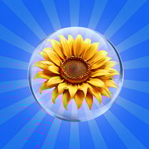 Merge Flowers: Original!