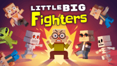 Little Big Fighters