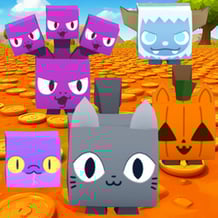 Gato: História Emocionante