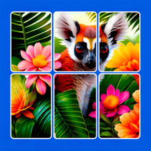 Puzzles - Relax Blocks