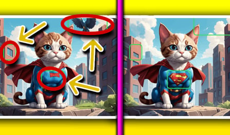 Kitty Spot The Differences