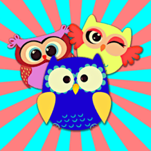 Crazy Owls