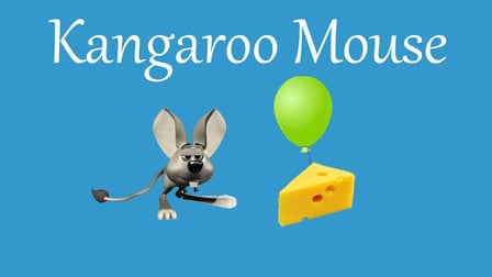 Kangaroo Mouse