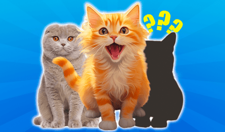 Merge Cat Breeds!