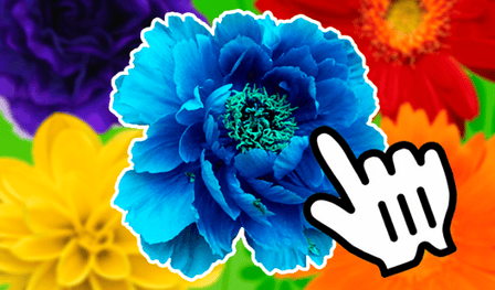 Floral Fantasy: Zbierz to wszystko!