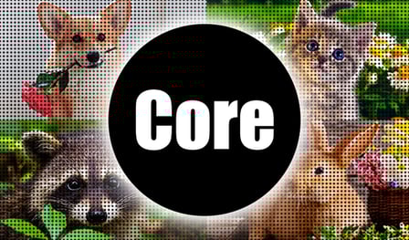Core
