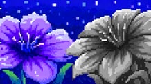 Color Pixels: Coloring by Numbers