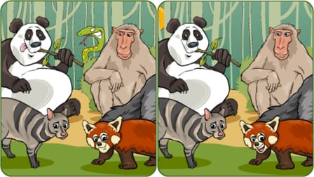 Wildlife Safari Five Diffs