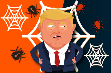 Spider Trump