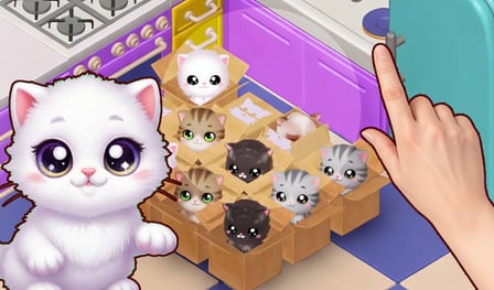 Cats in boxes