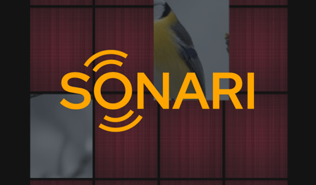 Sonari