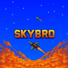 SkyBRO