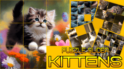 Puzzle Sliding - Kittens