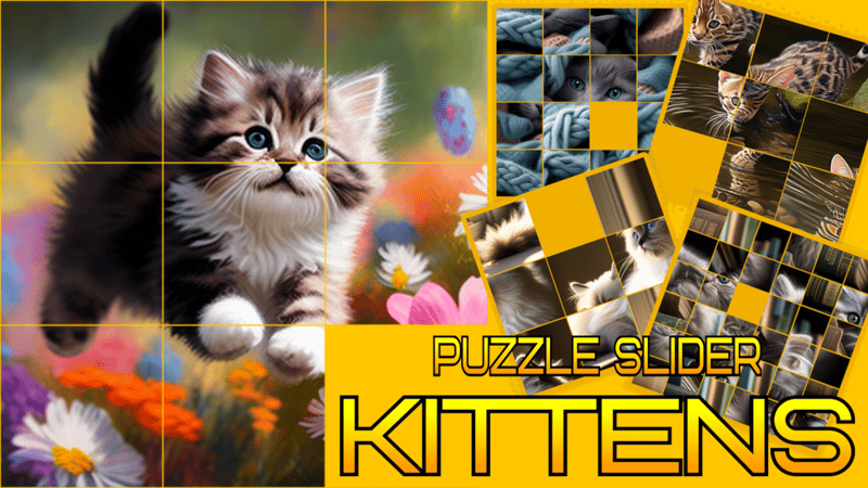 Puzzle Sliding - Kittens