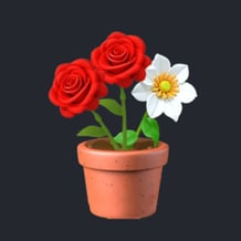 Flowers Match