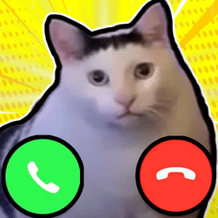Meme cats: Tamagochi