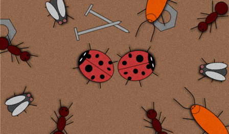 L'attacco degli insetti
