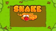 Snake Game