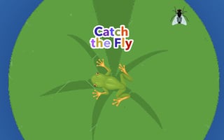 Catch the Fly