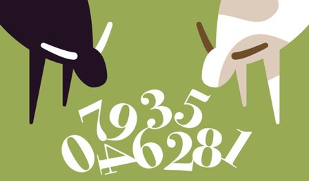 Bulls and Cows: The Mysterious Number