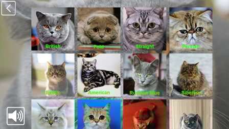 CatCollection: 48 Breeds - Screenshot 1