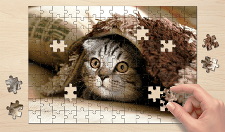 Jigsaw Puzzle World