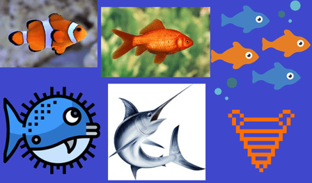 Fish Quiz