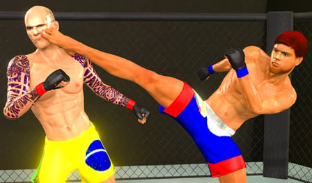MMA fighting 3D