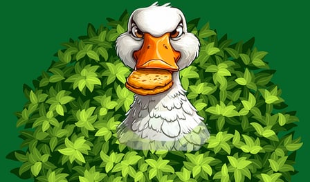 Goose Raid: The Sweet Heist