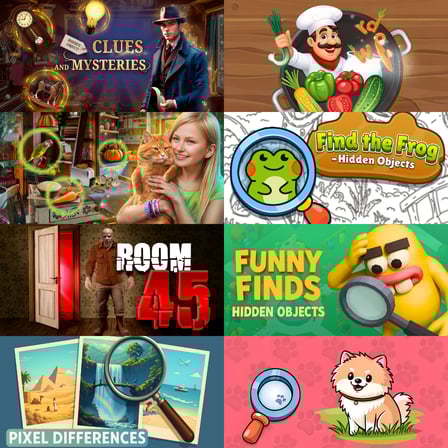 Search Games