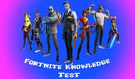 Fortnite Knowledge Test