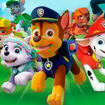 Collect patrol puppies