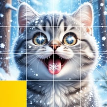 New Year Puzzles 2026