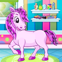 Pony Pet Salon