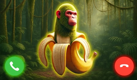 Hubungi Champanzini Bananini sekarang juga!